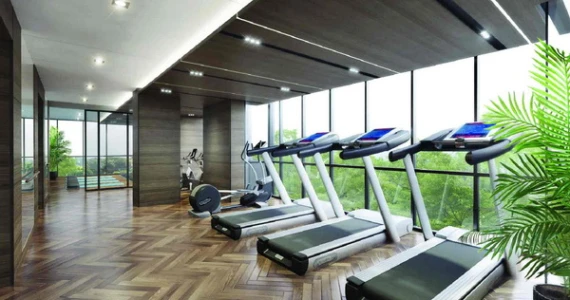 รูปภาพ เดอะ คอลเลคชั่น 16 (The Collection 16)