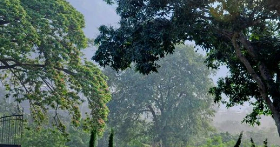 รูปภาพ วิลล่าโนวา เขาใหญ่ (Villanova Khaoyai)