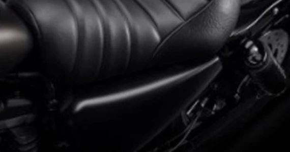 รูปภาพ ฮาร์ลีย์-เดวิดสัน Harley-Davidson Cruiser Iron 883 ปี 2022