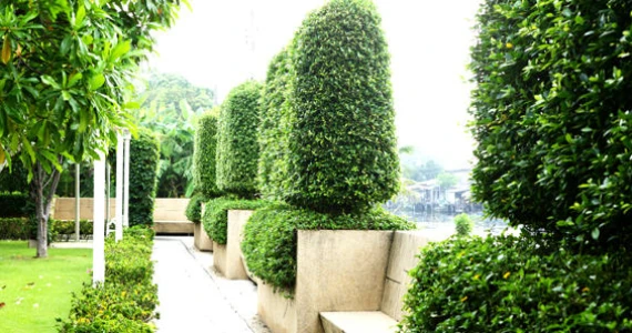 รูปภาพ เดอะ สตาร์ เอสเตท พัฒนาการ 69 (The Star Estate)