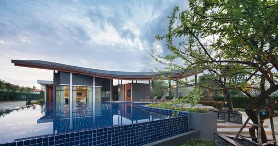 รูปภาพ โกลเด้น นีโอ ชัยพฤกษ์-วงแหวน (Golden Neo)