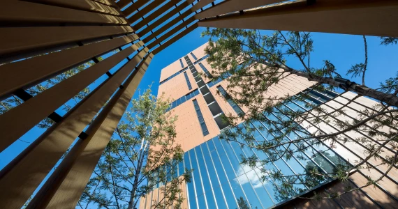 รูปภาพ เดอะ รูม สุขุมวิท 38 (The Room Sukhumvit 38)