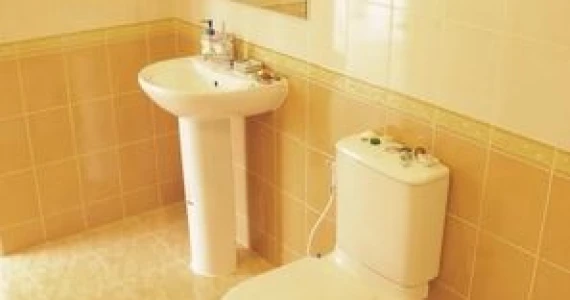 รูปภาพ เดอะ วิสด้อม เบิร์ก (The Wisdom Burg)