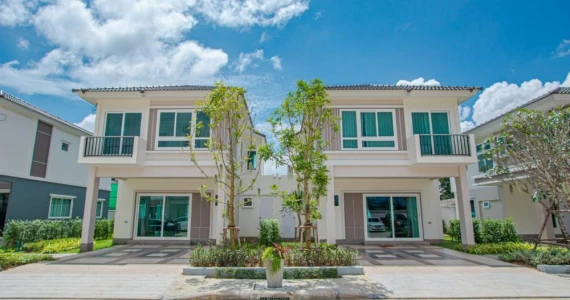 รูปภาพ ปาล์มสปริงส์ บลิส (Palmspring Blis)