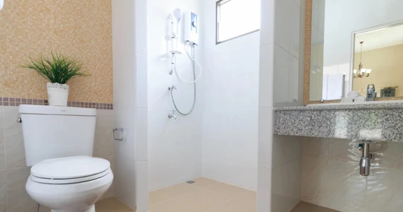 รูปภาพ สาริน 11 (Sarin 11)