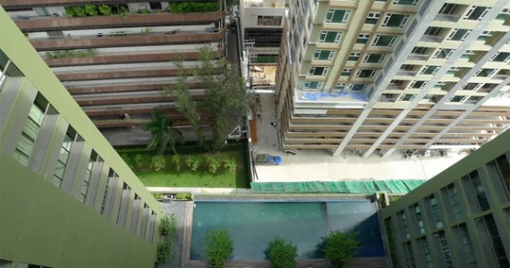 รูปภาพ โนเบิล โซโล (Noble Solo)