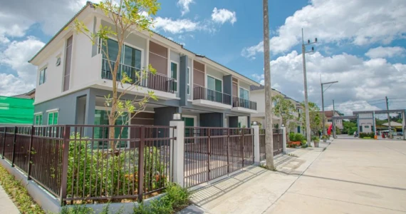 รูปภาพ ปาล์มสปริงส์ บลิส (Palmspring Blis)