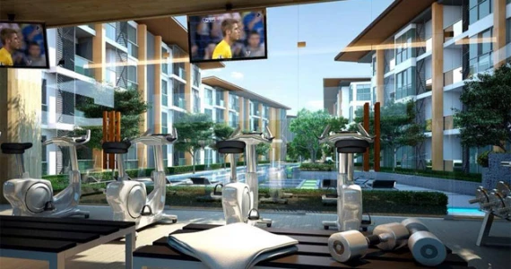 รูปภาพ พาคาทัส (Pacatas)