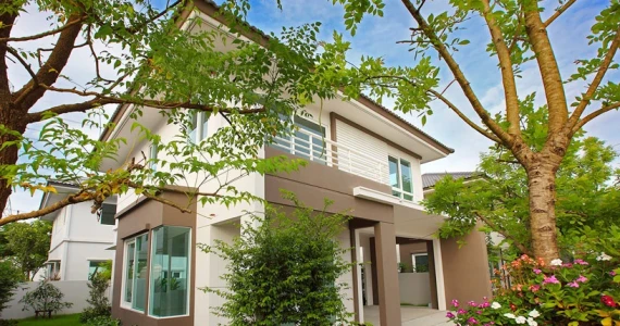 รูปภาพ ชัยพฤกษ์ ปิ่นเกล้า - สาย 5 (Chaiyapruk Pinklao-Sai 5)