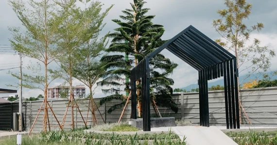 รูปภาพ โฮล์ม สันผีเสื้อ เชียงใหม่ (Holm)