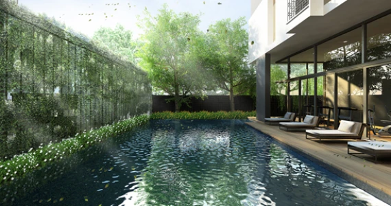 รูปภาพ ไซมิส เทอร์ตี้ ไนน์ (Siamese Thirty Nine)