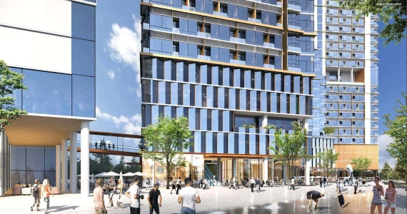 รูปภาพ ไซมิส พระราม 9 (Siamese Rama 9)