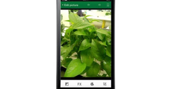 รูปภาพ ออปโป OPPO Joy 3