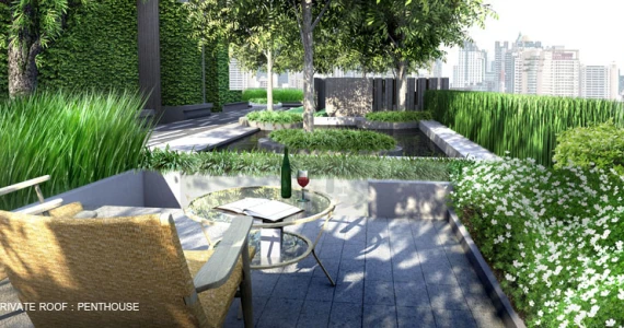 รูปภาพ ไซมิส เทอร์ตี้ ไนน์ (Siamese Thirty Nine)