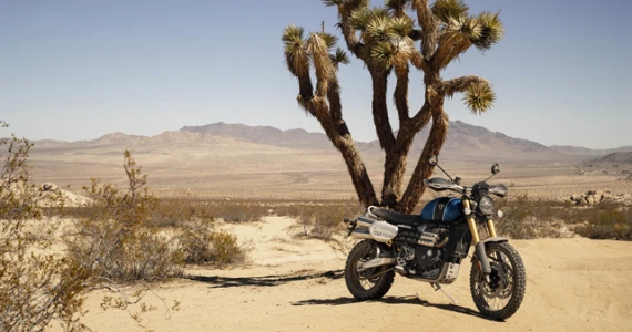 รูปภาพ ไทรอัมพ์ Triumph Scrambler 1200XE ปี 2023