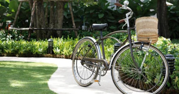 รูปภาพ พลีโน่ สุขสวัสดิ์ 30 (Pleno)