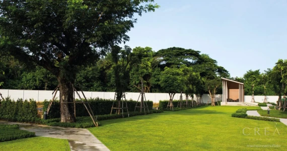 รูปภาพ ครีเอ้ เขาใหญ่ (Crea Khao yai)