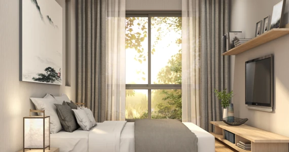 รูปภาพ ไซมิส คิน รามอินทรา (Siamese Kin Ramintra)