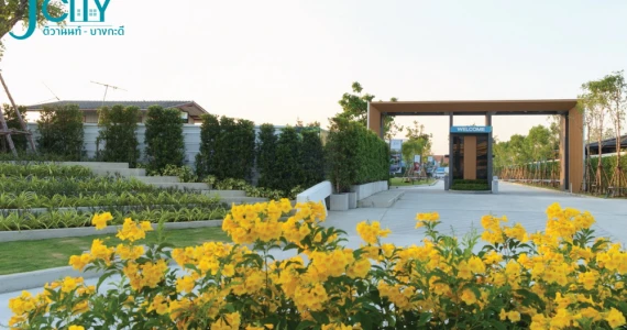 รูปภาพ เจ ซิตี้ ติวานนท์ - บางกะดี (J City Tiwanon 3 Bangkadee)