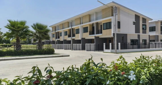 รูปภาพ พฤกษาพรรณ กระดีเดียว 3 (Pauksa Phan Kradi Diao 3)