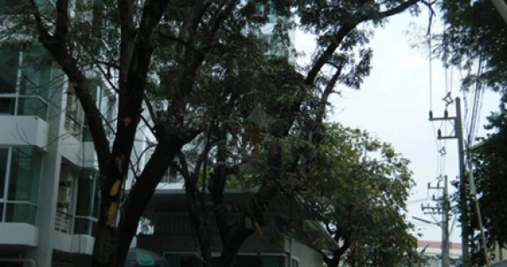 รูปภาพ วันพลัส คอนโด คันคลอง (One Plus Condo Kun Klong)