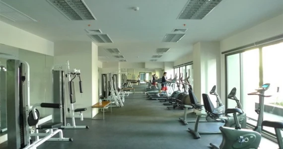 รูปภาพ โนเบิล โซโล (Noble Solo)