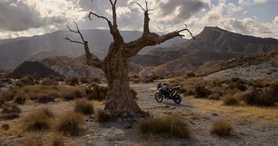 รูปภาพ ไทรอัมพ์ Triumph Tiger 900 Desert Edition ปี 2025