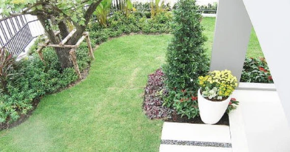 รูปภาพ ชัยพฤกษ์ รัตนาธิเบศร์-วงแหวน (Chaiyapruk Rattanathibet-Wongwaen)