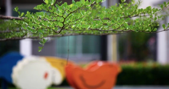 รูปภาพ อินดี้ บางนา (Indy Bangna)