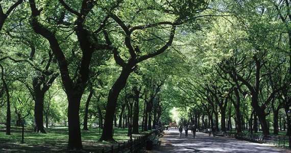 รูปภาพ ไลฟ์ บางกอก บูเลอวาร์ด แจ้งวัฒนะ (Life Bangkok Boulevard Chaeng Watthana)