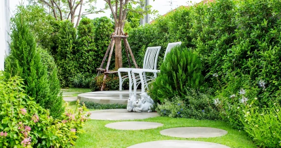 รูปภาพ กัสโต้ สุขสวัสดิ์ - ประชาอุทิศ (Gusto Suksawat - Prachautit)