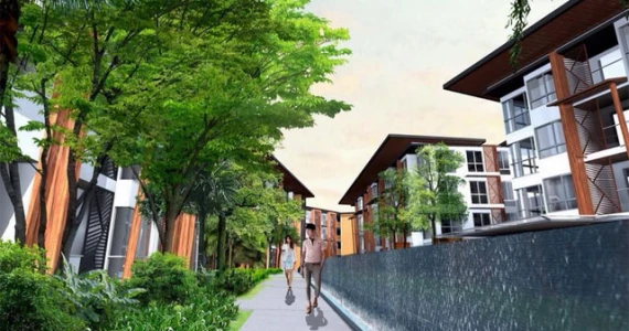 รูปภาพ พาคาทัส (Pacatas)