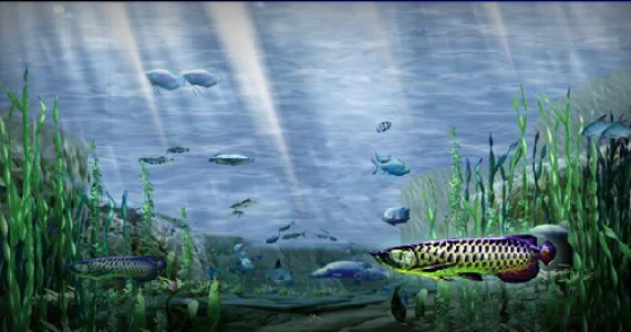 รูปภาพ สกายวอล์ค คอนโดมิเนียม (Sky Walk Condominium)