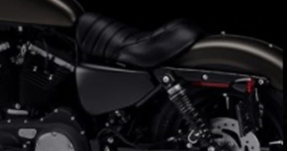 รูปภาพ ฮาร์ลีย์-เดวิดสัน Harley-Davidson Cruiser Iron 883 ปี 2022