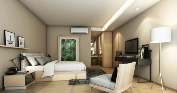 รูปภาพ ไซมิส นางลิ้นจี่ (Siamese Nang Linchee)