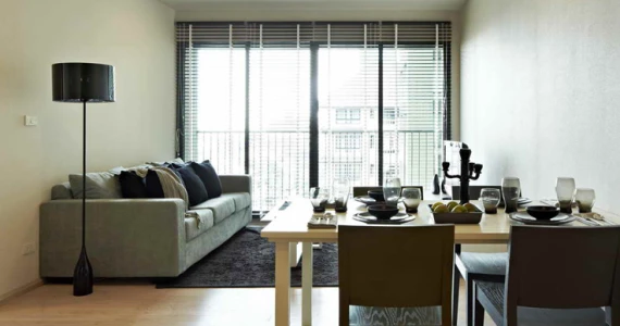 รูปภาพ โนเบิล โซโล (Noble Solo)