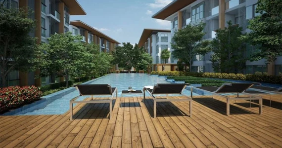 รูปภาพ พาคาทัส (Pacatas)