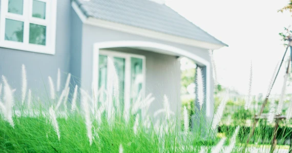 รูปภาพ ปัญจทรัพย์ พาร์ค ปิ่นเกล้า (Panchasarp Park Pinklao)