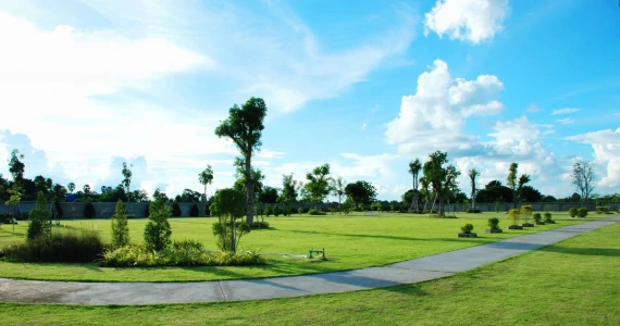 รูปภาพ เดอะ เบสท์ โคกกรวด - ยางน้อย (The Best Kokegruad - Yangnoi)