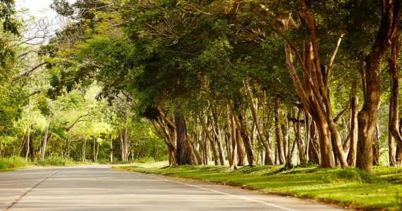 รูปภาพ นวธานี เรสซิเดนซ์ (Navatanee Residence)