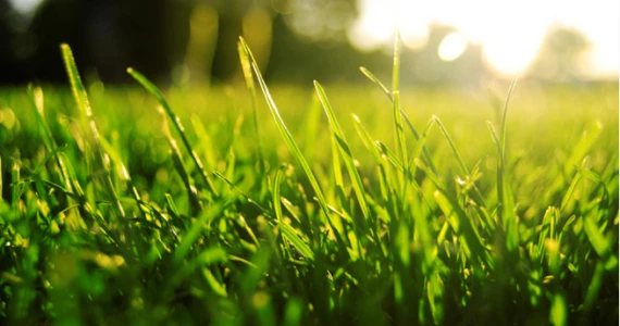 รูปภาพ ดีญ่า วาเลย์ ศรีราชา (Diya Valley Sriracha)