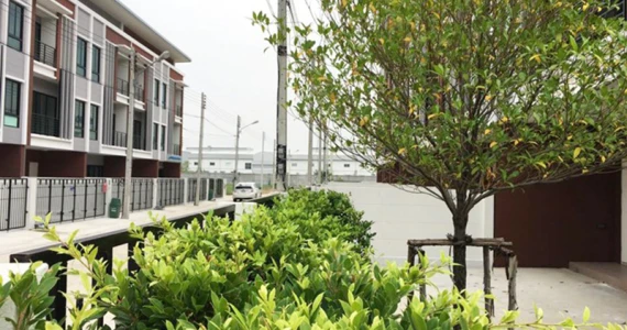 รูปภาพ โคซี่เฮาส์ ปทุมธานี - นนทบุรี (COZY HOUSE Pathumthani - Nontaburi)