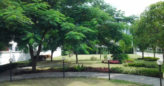 รูปภาพ สุชารี ดอนเมือง แจ้งวัฒนะ สรงประภา