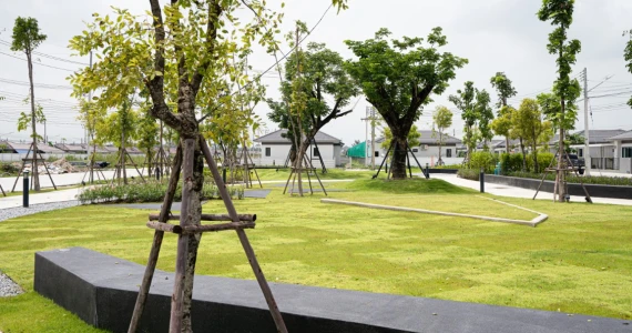 รูปภาพ เอ็ม วิลเลจ บางปะกง (M Village Bangpakong)