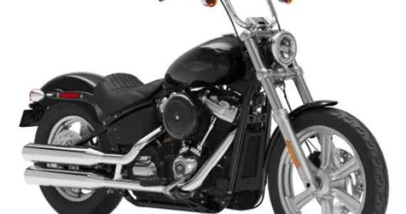 รูปภาพ ฮาร์ลีย์-เดวิดสัน Harley-Davidson Cruiser Softail (Standard) ปี 2022