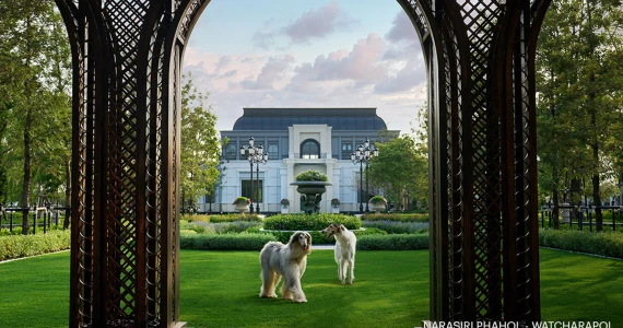 รูปภาพ นาราสิริ พหล - วัชรพล (Narasiri Phahol - Watcharapol)