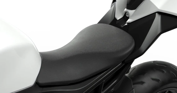 รูปภาพ บีเอ็มดับเบิลยู BMW S 1000 RR ปี 2025