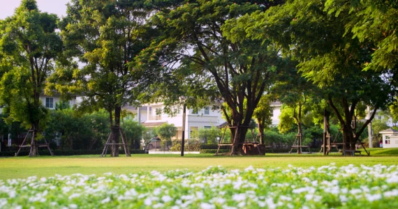 รูปภาพ พฤกษ์ลดา บางนา (Pruklada Bangna)