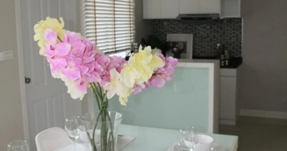 รูปภาพ พฤกษาวิลล์ 61 บางใหญ่-นครอินทร์ (Pruksa Ville)