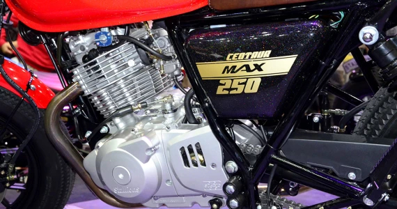 รูปภาพ สตาเลียน Stallions Centaur 250 Max ปี 2016